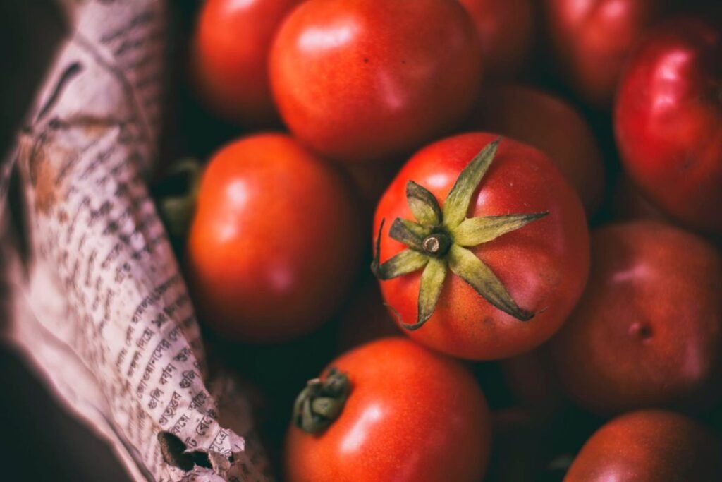 Pomidorų derliaus nuėmimas ir saugojimas