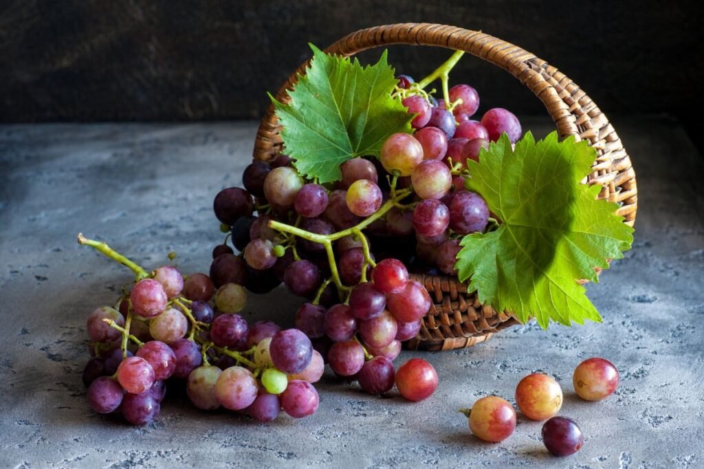 Vynuogės – maistui bei sveikatai