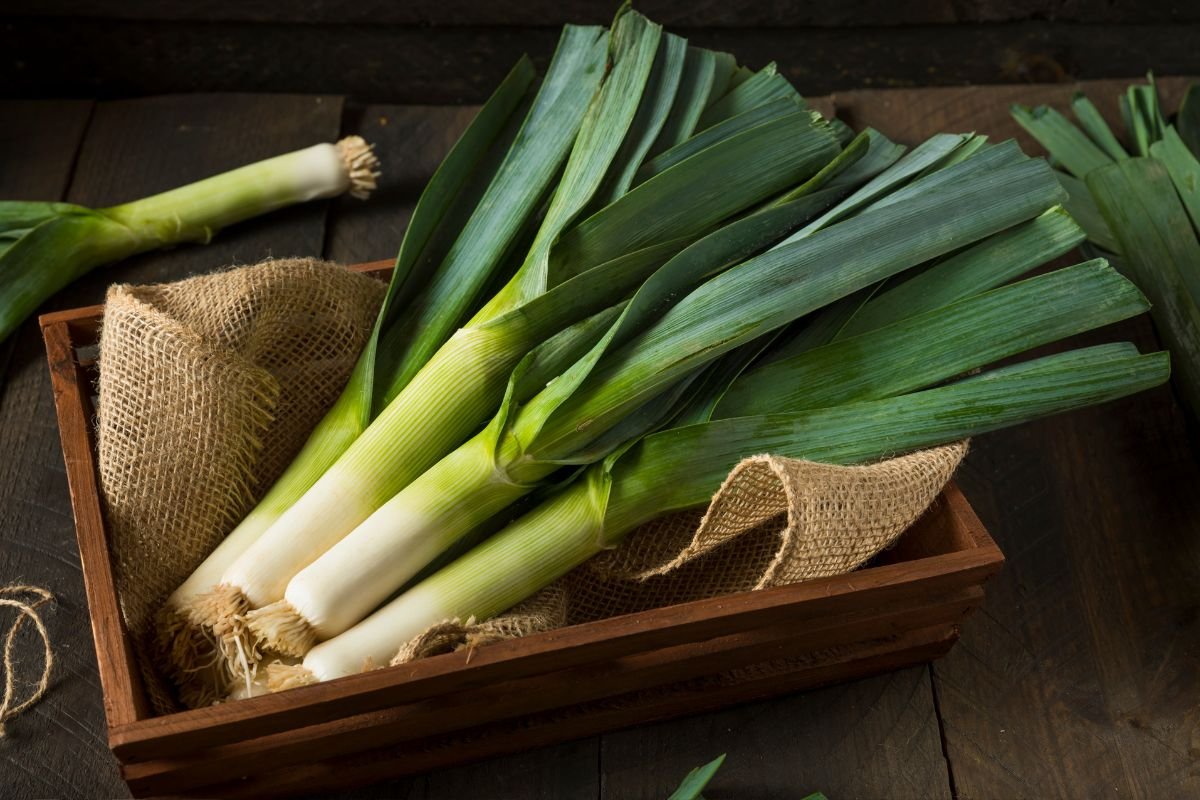 Poras – švelnesnio skonio svogūno giminaitis