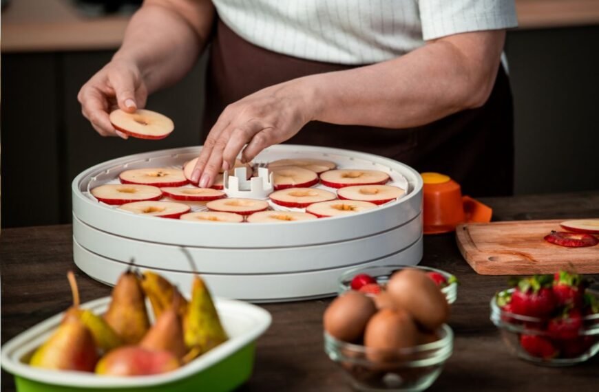 Vaisių, uogų, žalumynų, vaistažolių džiovinimas