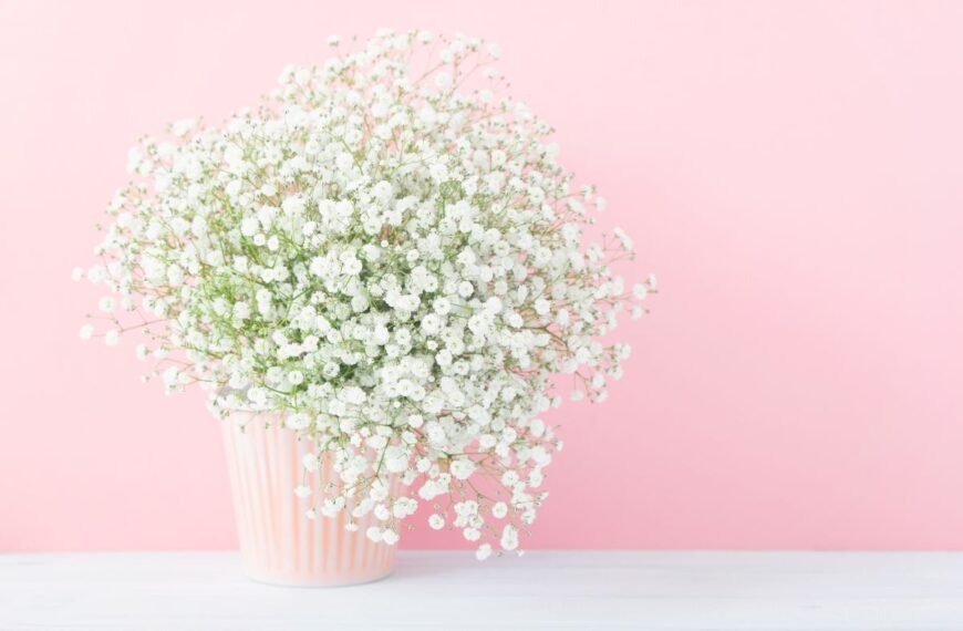 Guboja – ne tik sodui, bet ir namų dekorui!