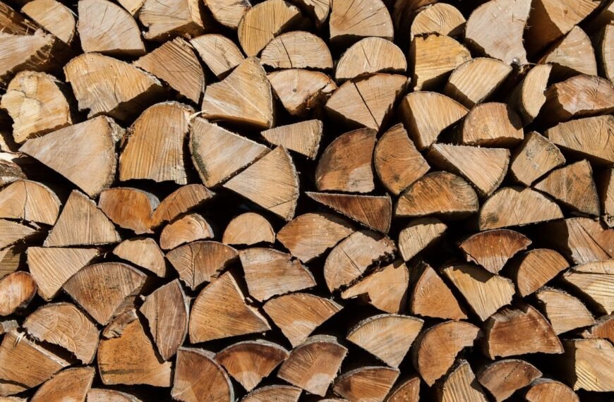 Malkos: kokia mediena tinkamiausia namų šildymui