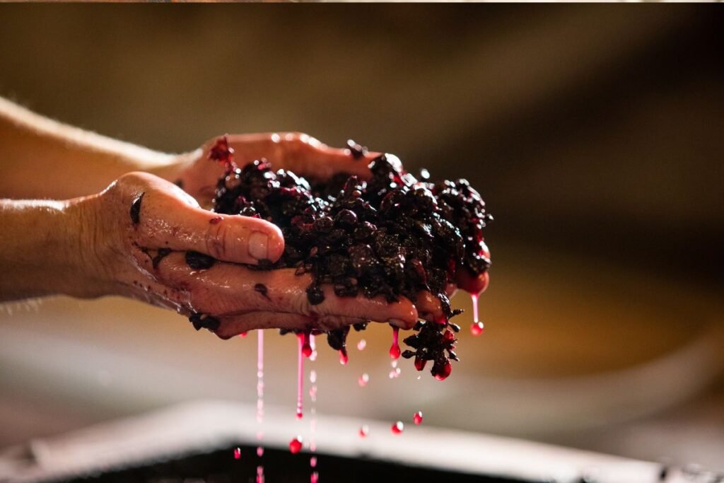Kaip gaminti vynuogių vyną