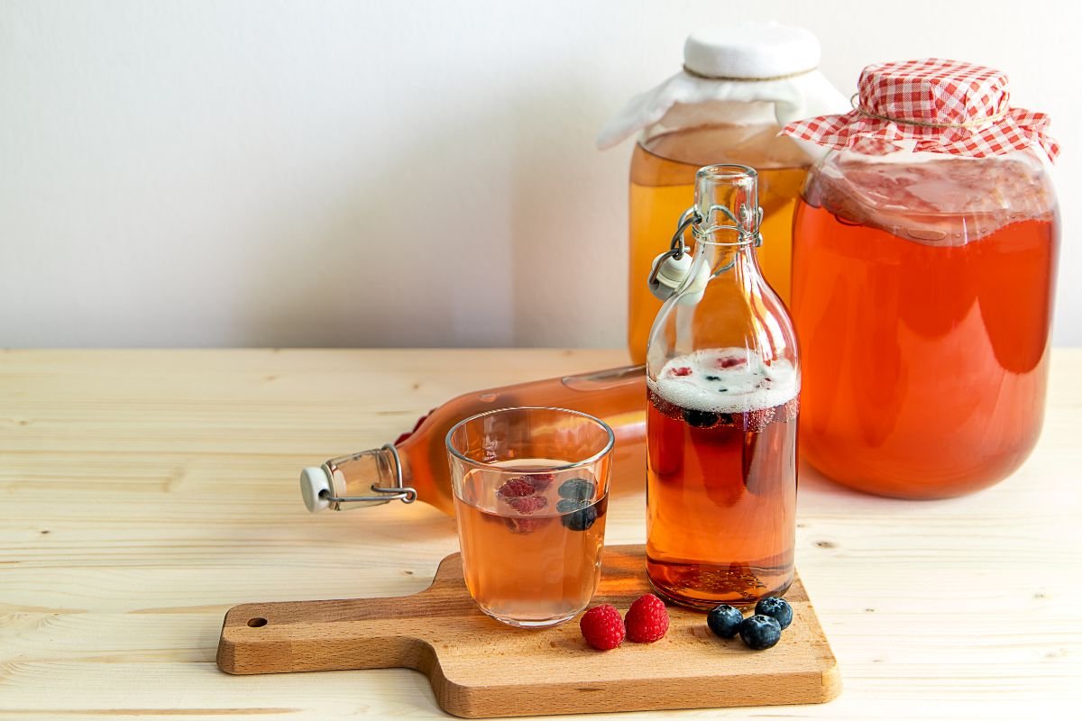 Populiarusis arbatos grybas - kombucha - natūralus vaistas