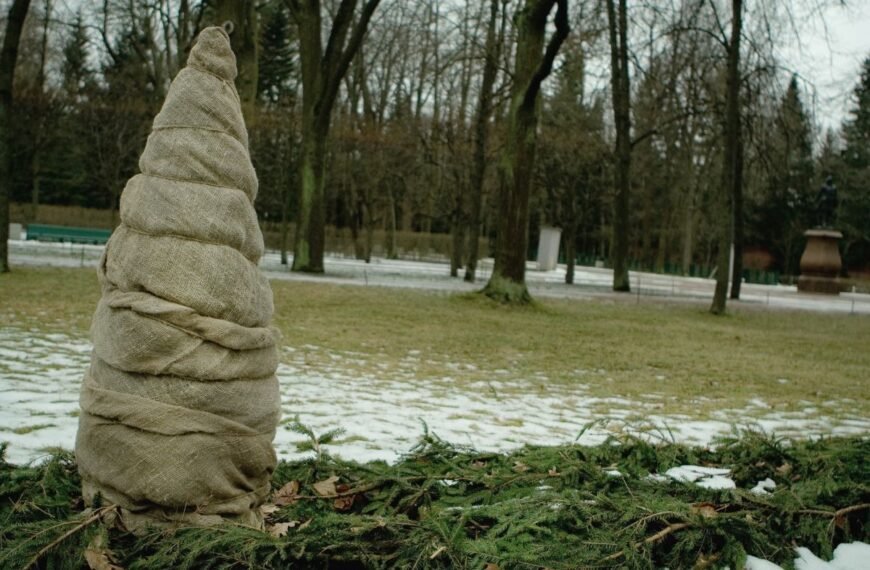 Daugiamečių augalų paruošimas žiemai: ką būtina padaryti