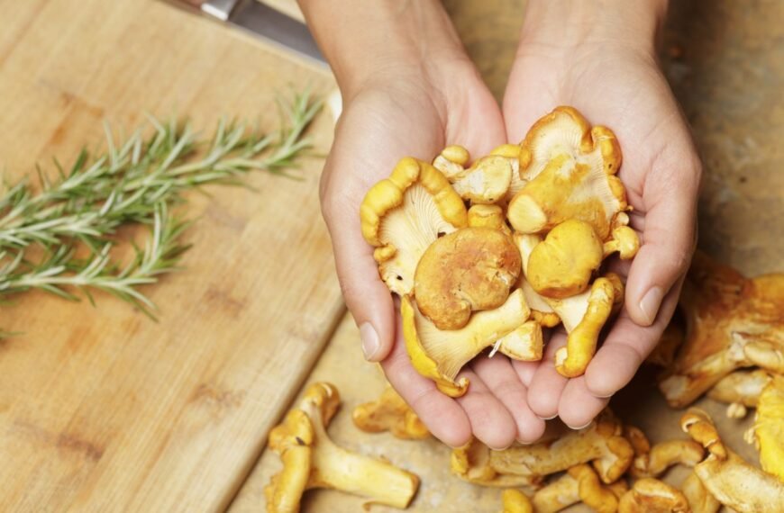 Voveraičių receptai