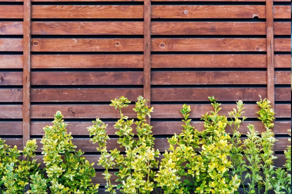 Tvoros – sklypo puošmena ir privataus gyvenimo apsauga: kaip ir kokią išsirinkti, kokių reikalavimų paisyti, kad tvora džiugintų daugelį metų