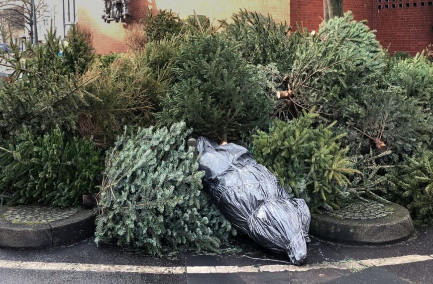 Kalėdų eglutė po Kalėdų