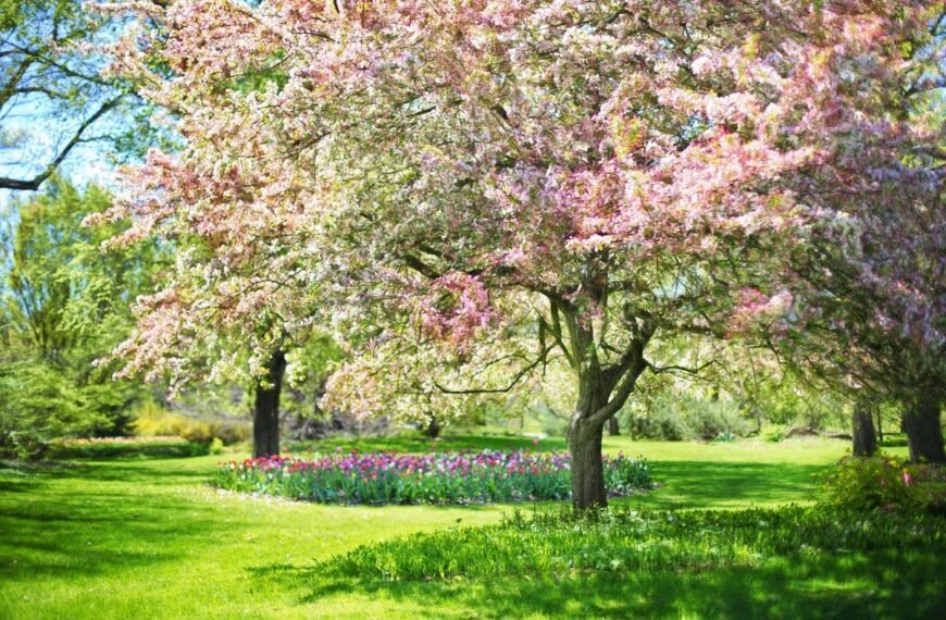 Fenologinis sėjos kalendorius