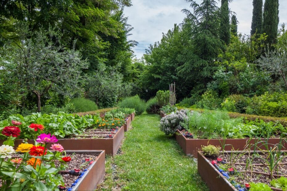 Įkvepiančios daržo ir sodo idėjos: laukinis sodas, kas yra lėtoji sodininkystė bei hortifuturizmas