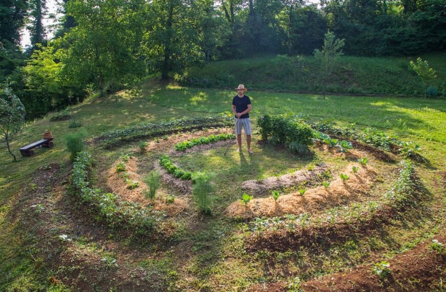 Planuojamas daržas kaip vejos lopinėlį paversti daržo kampeliu  