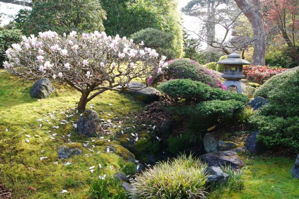 Japoniškas sodas