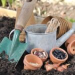 Kovo mėnesio sėjos kalendorius