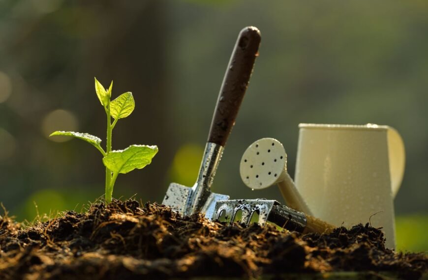 Žemė ir substratai augalams: kaip nepasiklysti jų įvairovėje ir išsirinkti tinkamiausią?