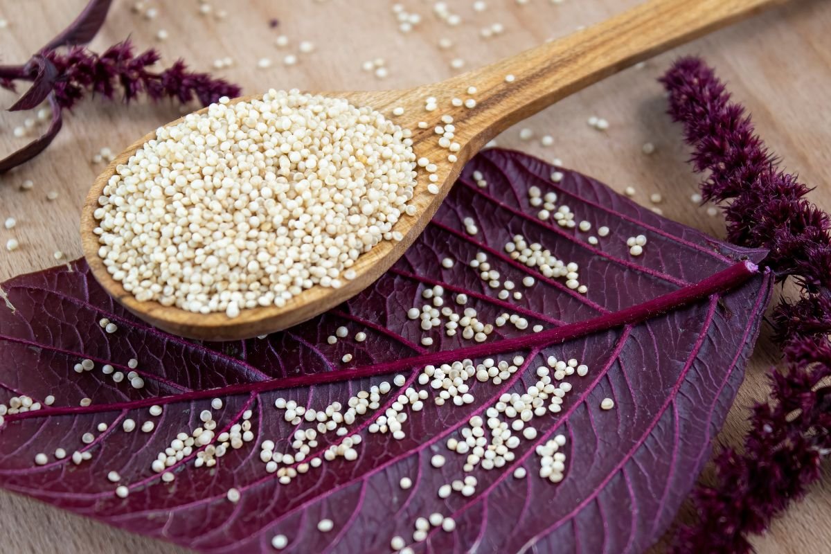 Burnočio sėklos – sveikatai naudingi senoviniai grūdai. Kaip juos skaniai paruošti pusryčiams?