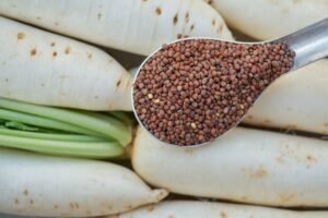 Kada sėti ridikus? Ridikų vasarai ir žiemai sėjos ypatumai