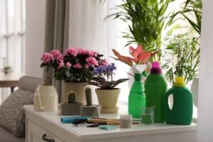 Privaloma užduotis darbų rutinoje – kaip ir kada tręšti kambarines gėles? 