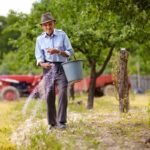 Kada tręšti veją ir kokios trąšos vejai yra naudingiausios?