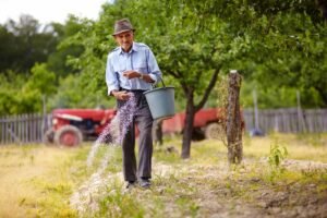 Kada tręšti veją ir kokios trąšos vejai yra naudingiausios?