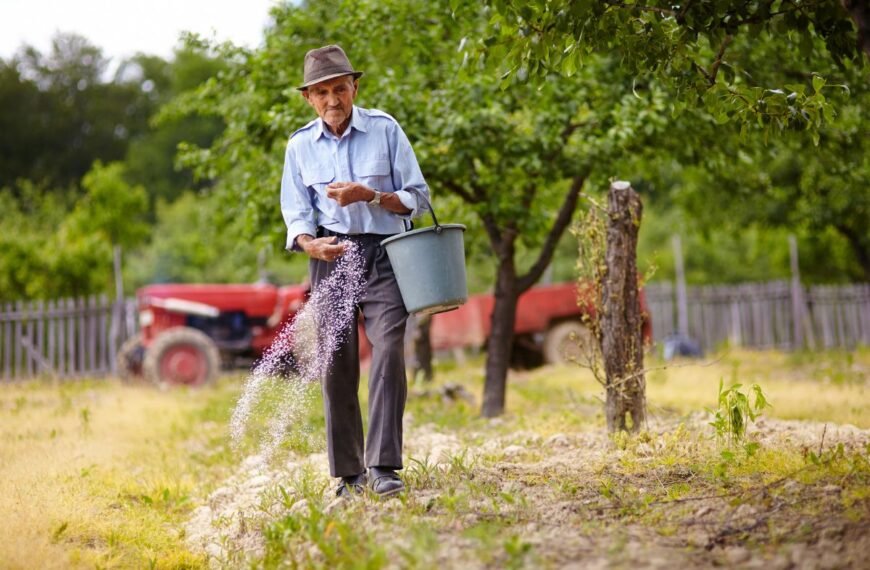 Kada tręšti veją ir kokios trąšos vejai yra naudingiausios?