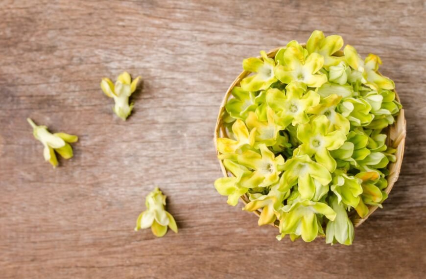 Raktažolės maistui – paragausite ir galvosite, kodėl nevalgėte jų anksčiau. Išbandykite raktažolių užkandį