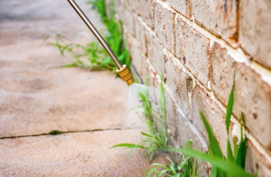 Klausimų keliantis herbicidas „Roundup“: atsisveikinsite su piktžolėmis visiems metams