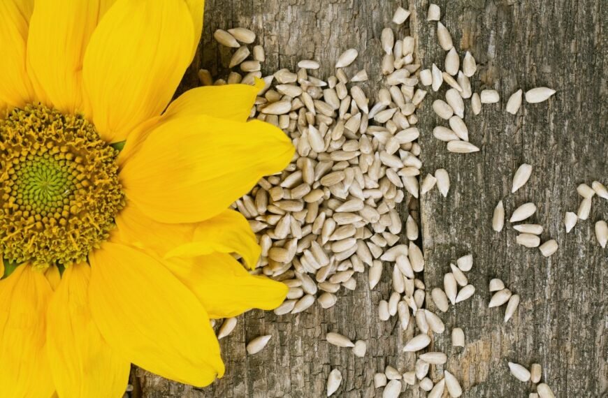 Chaki spalvos istorija ir kilmė: Chaki spalvos atsiradimas ir jos pradinė paskirtis. Chaki spalvos naudojimas kariuomenėje ir jos evoliucija. Chaki spalvos reikšmė ir simbolika: Chaki spalvos reikšmė įvairiose kultūrose. Psichologinis chaki spalvos poveikis. Chaki spalvos naudojimas madoje: Kaip ir kada chaki spalva tapo populiari mados pasaulyje. Garsūs dizaineriai ir jų kūriniai, kuriuose naudojama chaki spalva. Chaki spalvos derinimas su kitomis spalvomis drabužiuose. Chaki spalvos panaudojimas interjere: Chaki spalvos privalumai ir trūkumai interjero dizaino srityje. Patarimai, kaip įtraukti chaki spalvą į savo namų interjerą. Chaki spalvos naudojimas mene: Menininkai ir meno kryptys, kuriose dominuoja chaki spalva. Chaki spalvos reikšmė ir interpretacijos įvairiuose meno kūriniuose. Praktiniai chaki spalvos panaudojimo patarimai: Kaip derinti chaki spalvą savo kasdieniame garderobe. Chaki spalvos priežiūra ir dažymas audiniuose. Chaki spalva ir aplinkosauga: Chaki spalvos naudojimas tvarioje madoje. Ekologiški chaki spalvos dažai ir jų gamybos būdai. Chaki spalvos variacijos ir atspalviai: Skirtingi chaki spalvos atspalviai ir jų pavadinimai. Kaip skirtingi atspalviai veikia vizualinį suvokimą. Šios potemės gali padėti sukurti išsamų ir informatyvų straipsnį apie chaki spalvą, apimančią jos istoriją, simboliką, praktinį panaudojimą ir įtaką įvairiose srityse.