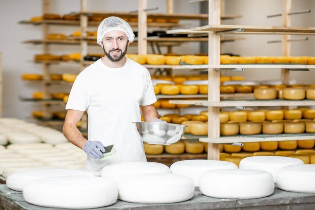 fermentinis sūris ir jo gamybos procesas