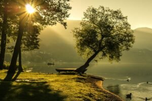 Kada teka saulė 2026 metais? Visų kalendorinių metų saulės tekėjimo laikasVisų kalendorinių metų saulės tekėjimo laikas