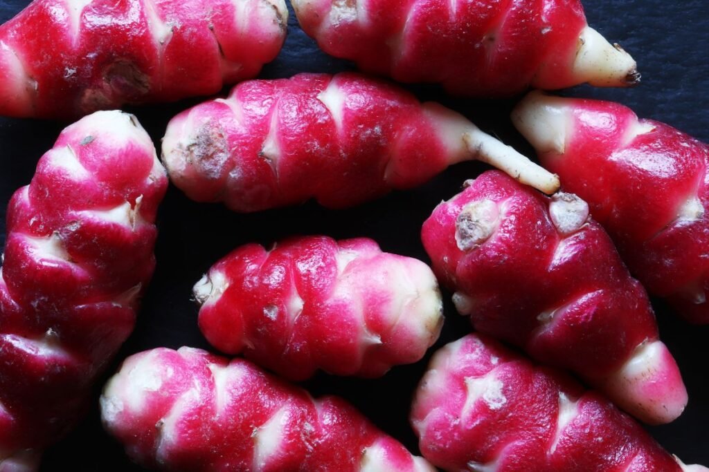 Gumbiniai kiškiakopūsčiai 1 | Derlingas.lt Kas yra gumbiniai kiškiakopūsčiai?
