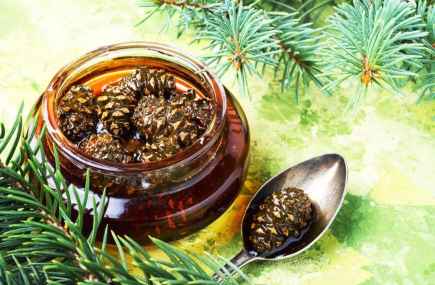 Kankorėžių uogienė: išskirtinė, sveika ir kvapni miško dovana. Skambą neįprastai? Sužinokite kuo ji naudinga