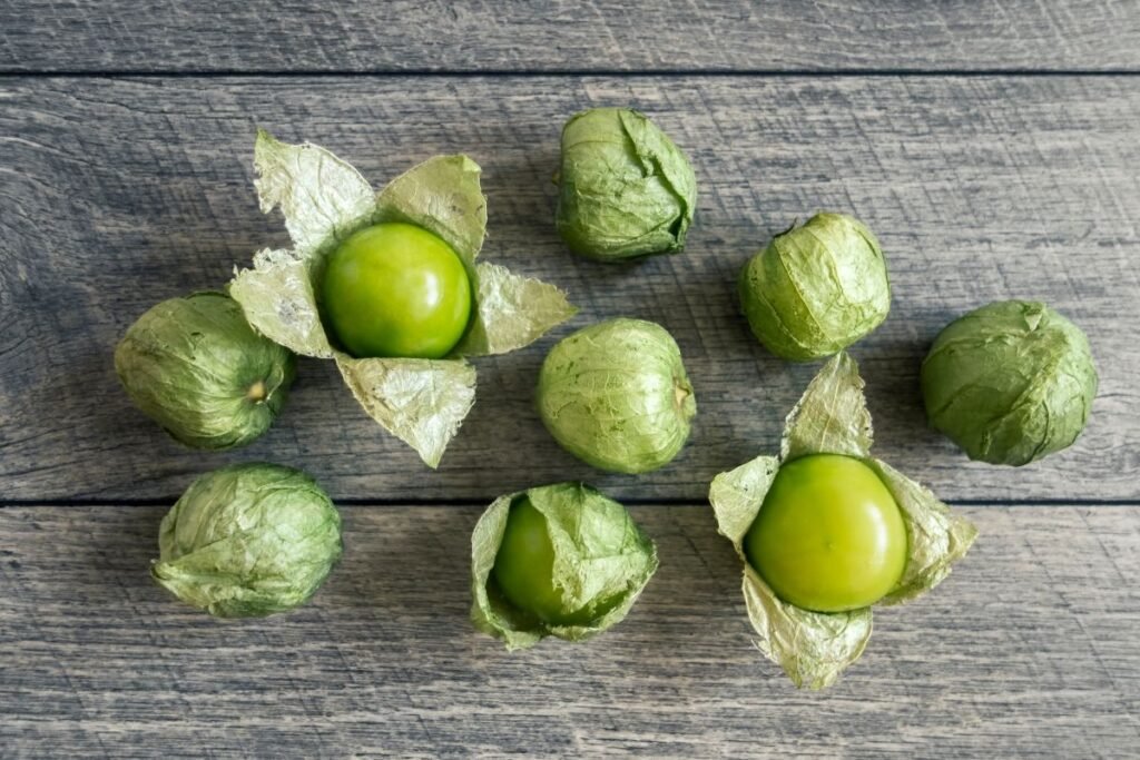 Dumplūnė 3 | Derlingas.lt Tomatilo derliaus nuėmimas ir saugojimas