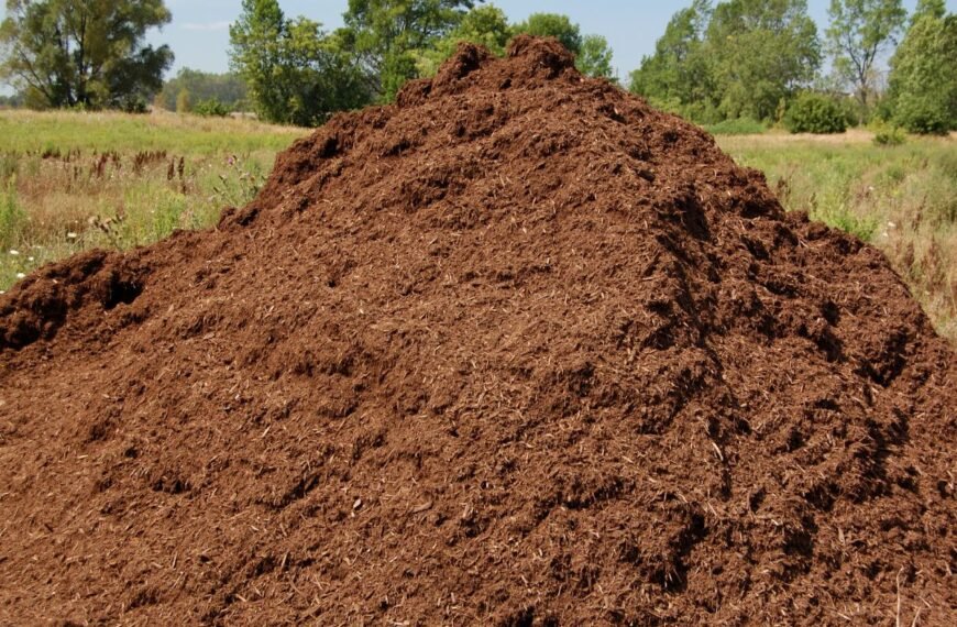 Mėšlas – natūrali trąša, tačiau kelianti daugiausiai klausimų. Ką reikia žinoti apie tręšimą mėšlu?