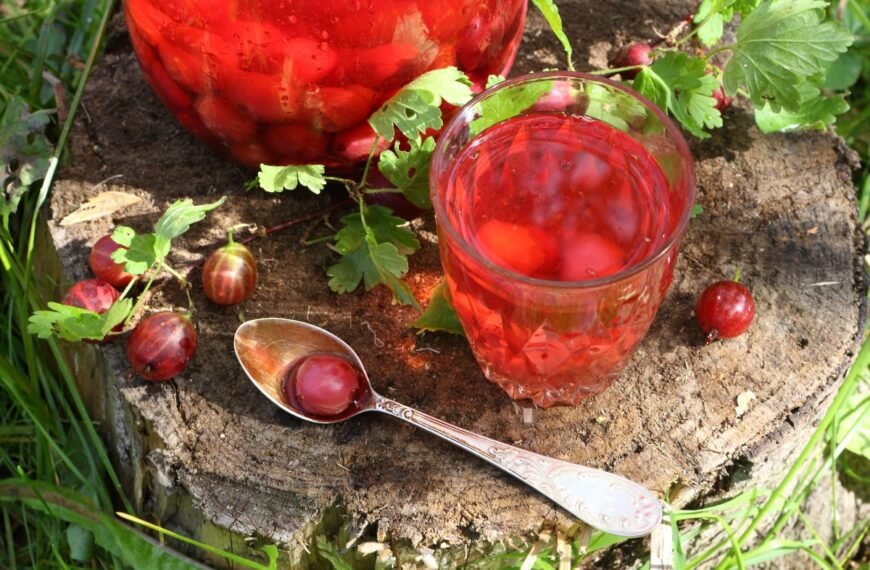 Agrastų kompotas – švelni rūgštelė, grąžinanti vaikystės vasarų prisiminimus. Su kuo derinti?