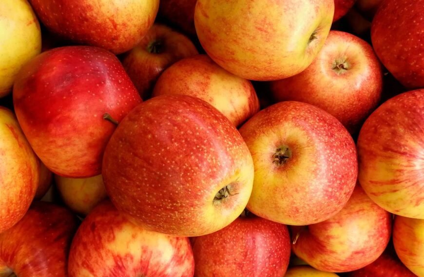 Kas yra saldiniai obuoliai ir kokios veislės saldžiausios? Saldinių veislių auginimo ypatybės