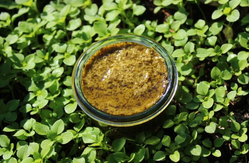 Žliūgės pesto: nuo klasikinio recepto iki kūrybiškų variacijų