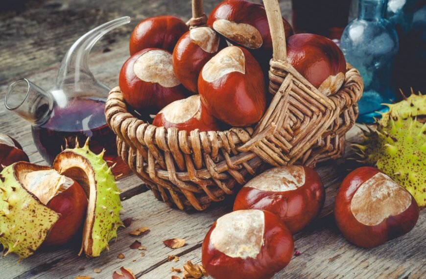 Kaštonų užpilas su degtine – rudens dovana venų ir sąnarių sveikatai. Kaip paruošti?