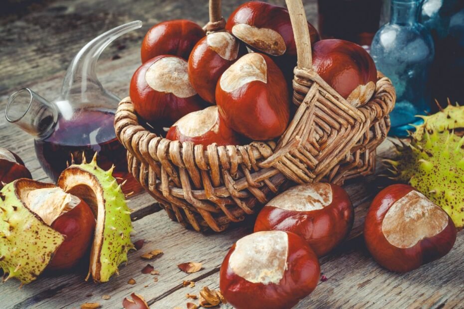 Kaštonų užpilas su degtine – rudens dovana venų ir sąnarių sveikatai. Kaip paruošti?