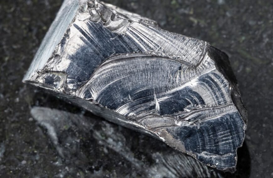 Šungitas: kodėl šis pamirštas lietuviškas produktas vėl garsėja Europoje? Mitai ir faktai apie šungitą