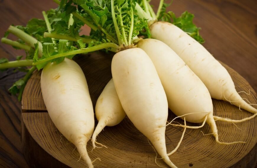 Daikonas – sveikas ir universalus šakniavaisis, atrandantis vietą mūsų daržuose. Kuo ypatingas šis japoninis ridikas?