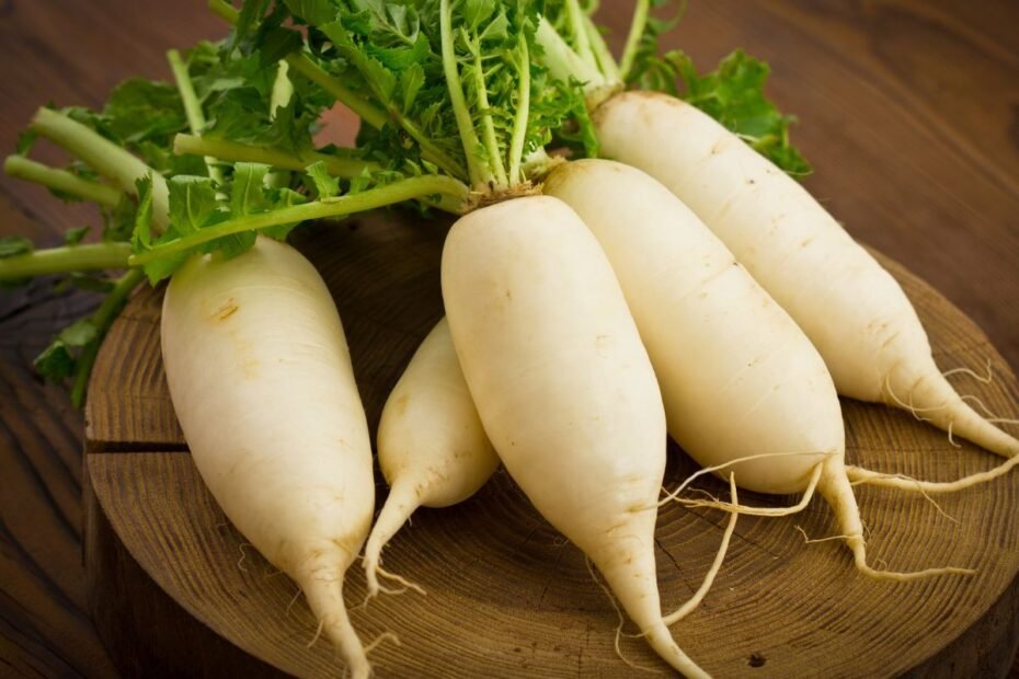 Daikonas – sveikas ir universalus šakniavaisis, atrandantis vietą mūsų daržuose. Kuo ypatingas šis japoninis ridikas?