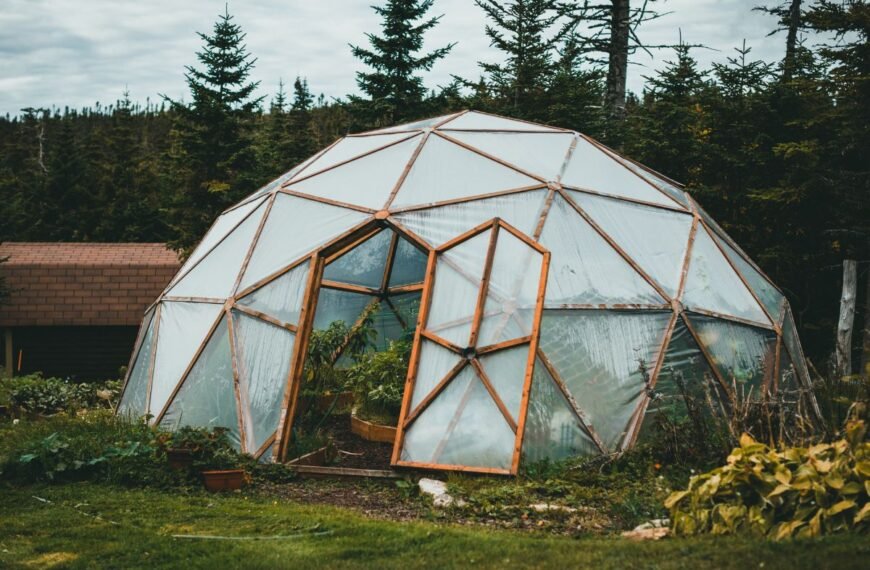 Pelėsis šiltnamyje: nematomas priešas, kuris gali sunaikinti ir investicijas, ir derlių. Kaip to išvengti?