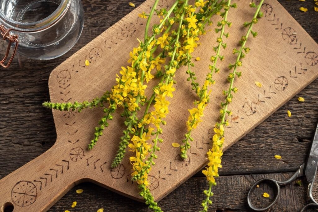 Dirvuolė ir jos žaliavos ruošimas