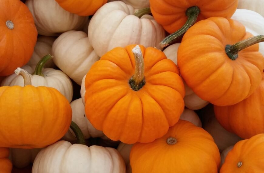 Kada nuimti moliūgus: kaip atpažinti, kad jie subrendę ir pasiruošę derliui?