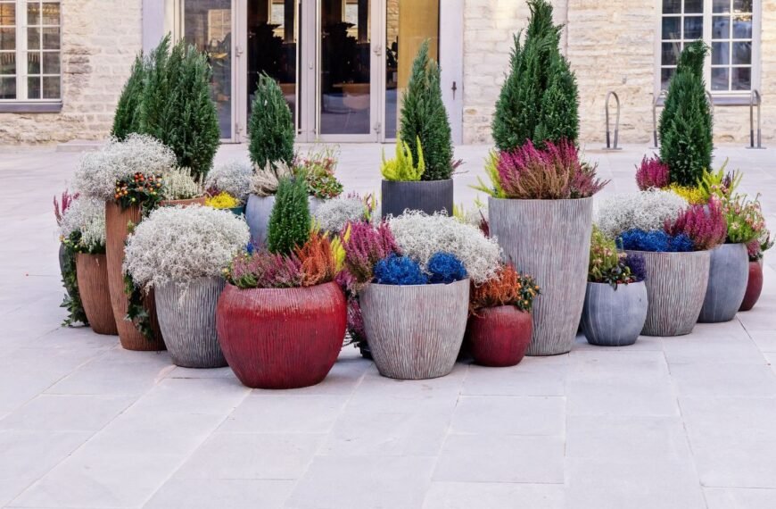 Lauko vazonai: kaip pasirinkti tinkamus ir ką dar galima sodinti rudenį?