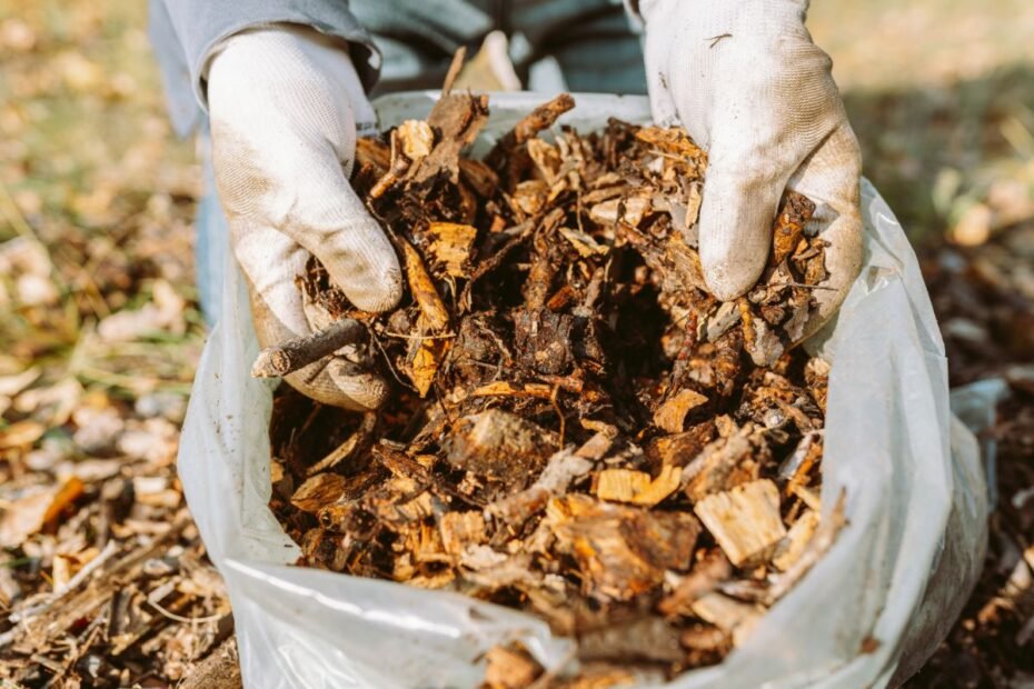 Mulčiavimas žiemai