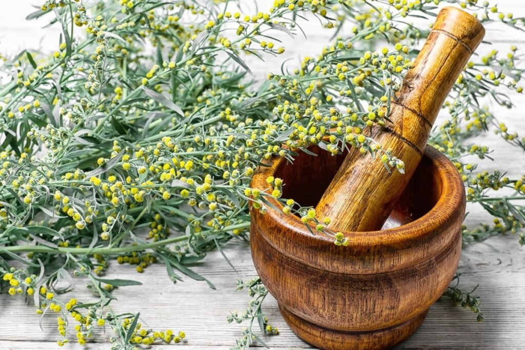 Pelynas – deivės dovana moterims