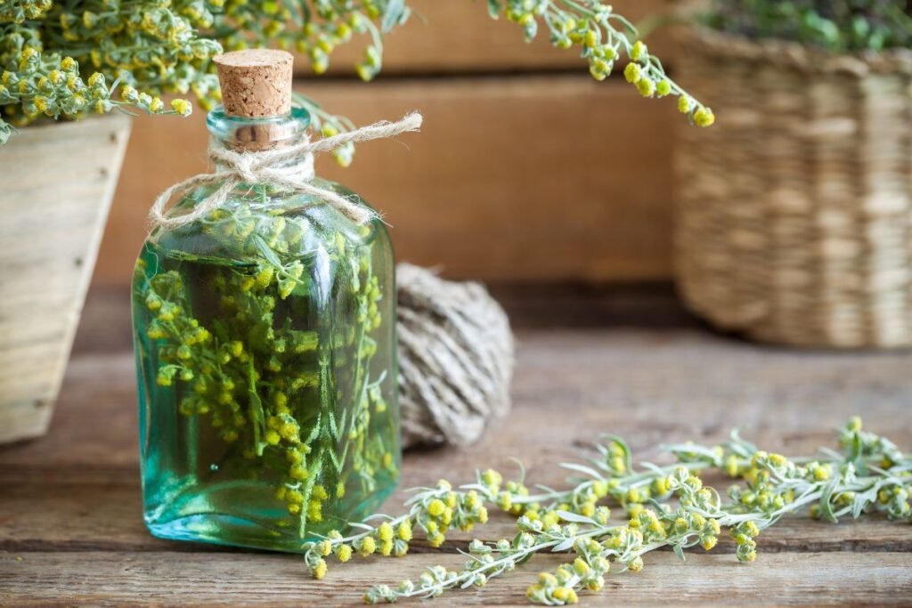 Pelynas – kartumo ir poetų įkvėpimo gėrimas