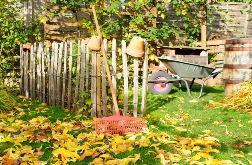 Rudens darbai sode ir darže. Pasitikrinkite, ar nieko nepamiršote atlikti?