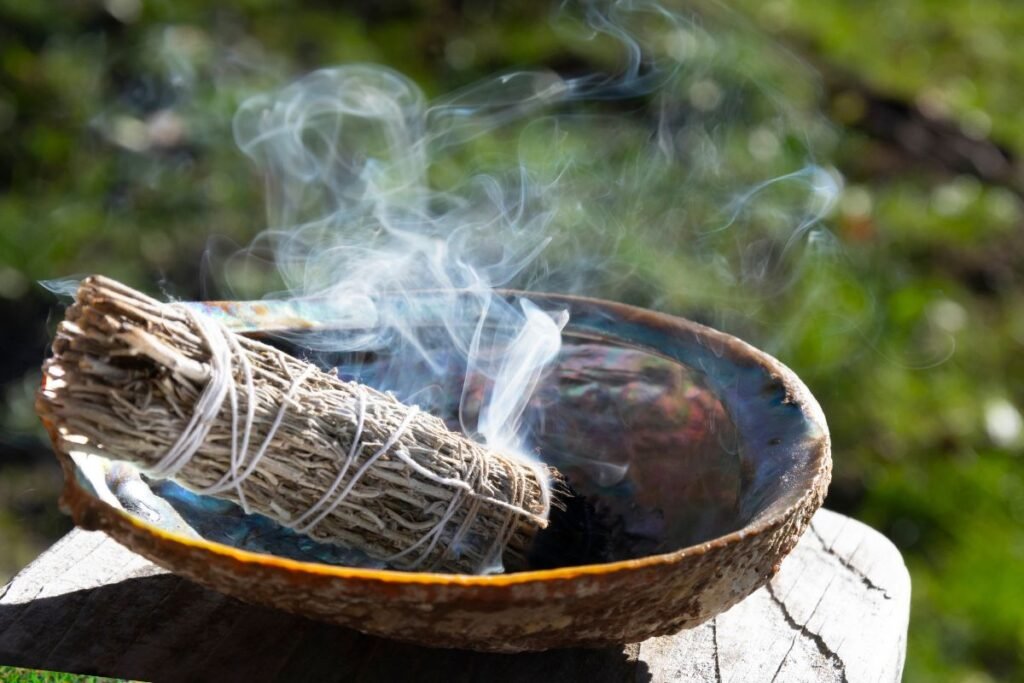 Šalavijas meilei, magijai ir sėkmei